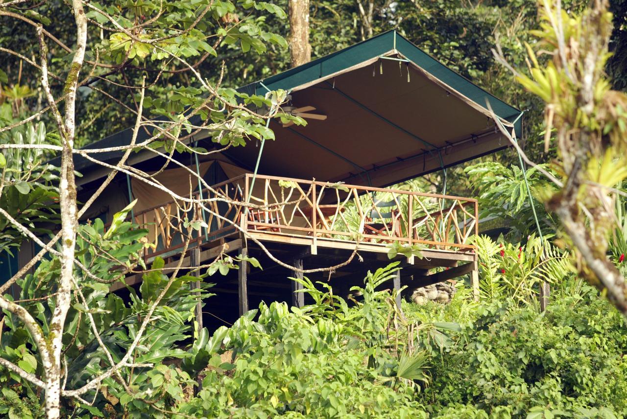 Rafiki Safari Lodge Savegre Zimmer foto
